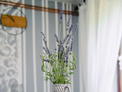 Holiday house Two bedroom house with terrace Hreljin Ogulinski, Gorski kotar K-23162 - Outdoor photo 42