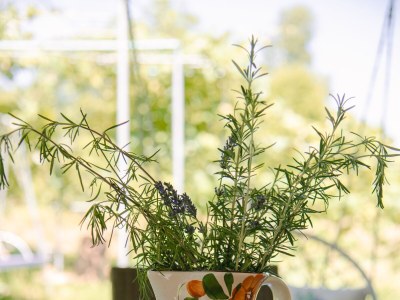 Holiday house Two bedroom house with terrace Hreljin Ogulinski, Gorski kotar K-23162 - Outdoor photo 68