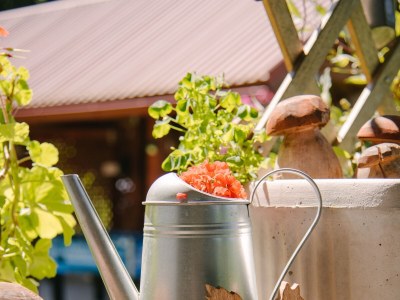 Holiday house Two bedroom house with terrace Hreljin Ogulinski, Gorski kotar K-23162 - Outdoor photo 69