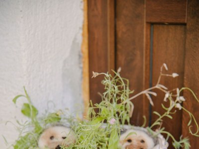 Holiday house Two bedroom house with terrace Hreljin Ogulinski, Gorski kotar K-23162 - Outdoor photo 71