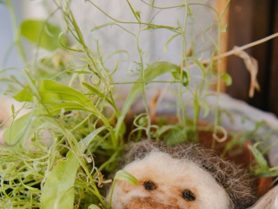 Holiday house Two bedroom house with terrace Hreljin Ogulinski, Gorski kotar K-23162 - Outdoor photo 72