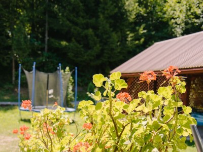 Holiday house Two bedroom house with terrace Hreljin Ogulinski, Gorski kotar K-23162 - Outdoor photo 73