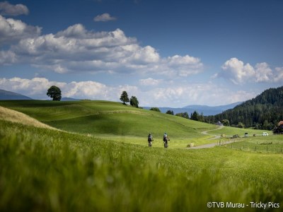 Apartment Vacation rental near ski resort - Outdoor photo 8