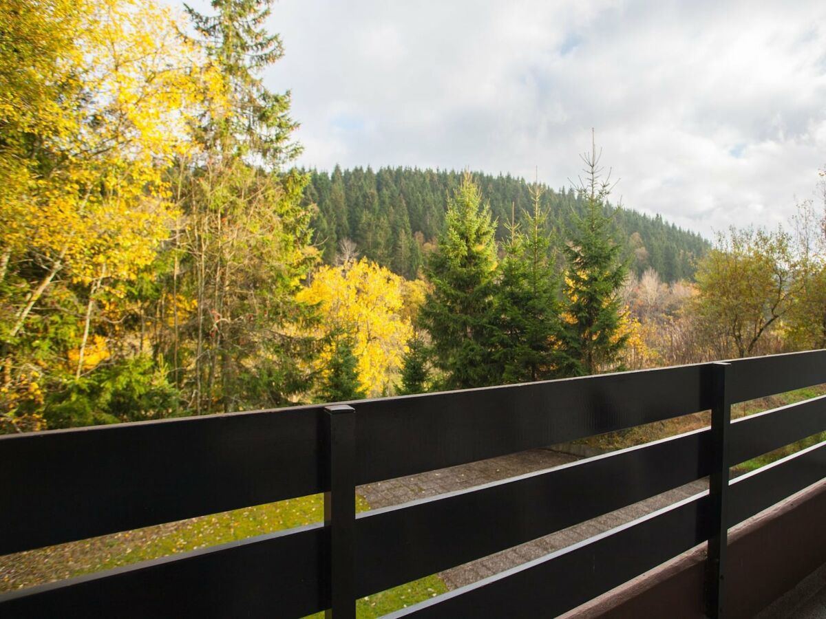 Apartment Ferienwohnung in Winterberg nahe dem Skigebiet - Outdoor photo 2
