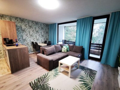 Apartment Ferienwohnung in Winterberg nahe dem Skigebiet - Features photo 12