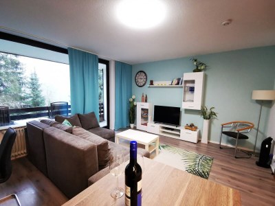 Apartment Ferienwohnung in Winterberg nahe dem Skigebiet - Features photo 14