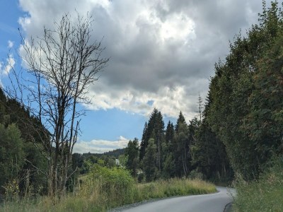 Apartment Ferienwohnung in Winterberg nahe dem Skigebiet - Environment photo 21