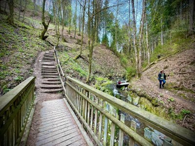 Apartment Ferienwohnung in Winterberg nahe dem Skigebiet - Environment photo 39