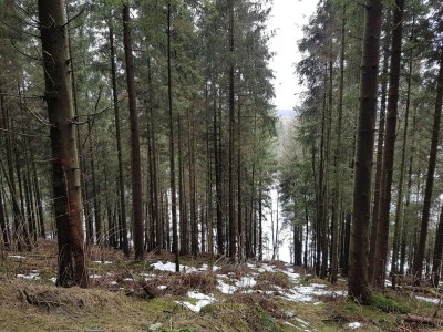 Apartment Ferienwohnung in Winterberg nahe dem Skigebiet - Environment photo 51