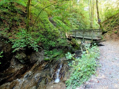 Apartment Ferienwohnung in Winterberg nahe dem Skigebiet - Environment photo 53