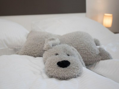 Apartment Wohnung in den Winterbergen mit Balkon - Features photo 24