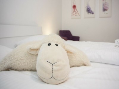 Apartment Wohnung in den Winterbergen mit Balkon - Features photo 27