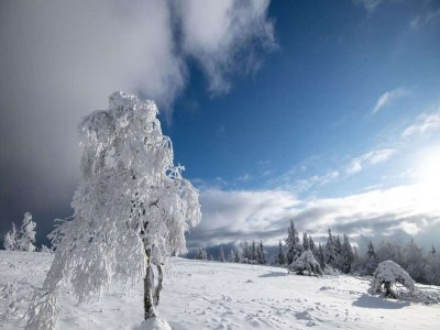 Apartment Charmante Ferienwohnung in Winterberg mit Balkon - Environment photo 23
