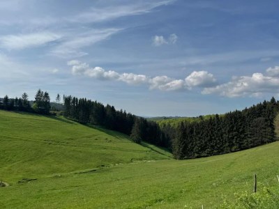 Apartment Moderne Wohnung in Winterberg - Environment photo 23
