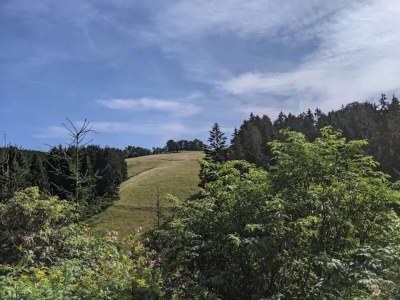 Apartment Moderne Wohnung in Winterberg - Environment photo 25