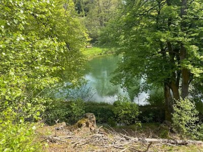 Apartment Moderne Wohnung in Winterberg - Environment photo 29