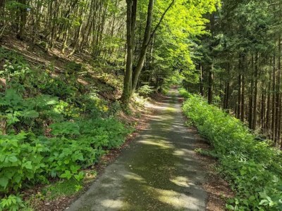 Apartment Moderne Wohnung in Winterberg - Environment photo 30