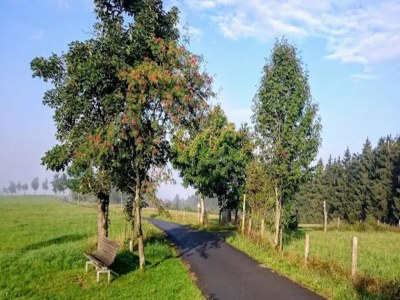 Apartment Moderne Wohnung in Winterberg - Environment photo 31