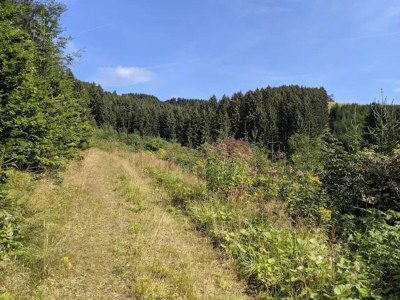 Apartment Moderne Wohnung in Winterberg - Environment photo 32