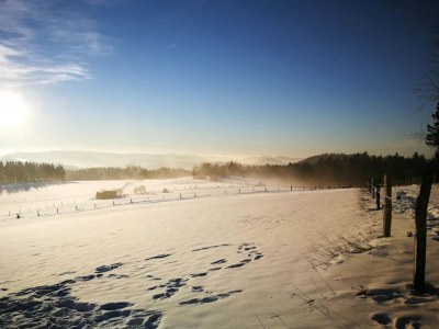 Holiday house Ferienhaus gegenüber dem Skigebiet - Environment photo 23