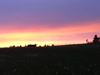 Holiday house Ferienhaus gegenüber dem Skigebiet - Environment photo 26