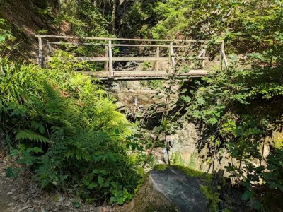 Apartment Wohnung in Winterberg nahe Skigebiet - Environment photo 26