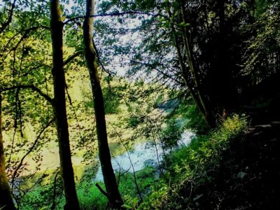 Apartment Wohnung in Winterberg nahe Skigebiet - Environment photo 28