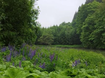 Apartment Wohnung in Winterberg nahe Skigebiet - Environment photo 29