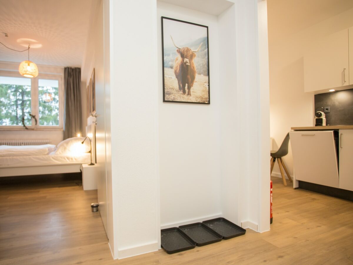 Apartment Ferienwohnung mit Balkon an der Piste - Features photo 5