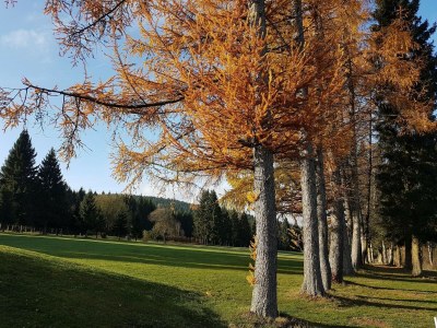 Apartment Moderne Wohnung über zwei Etagen in Winterberg - Environment photo 21
