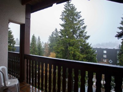 Apartment Wohnung in Winterberg in der Nähe des Bikeparks - Outdoor photo 5