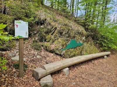 Apartment Modernes Studio für 3 Personen in Zuschen - Environment photo 33