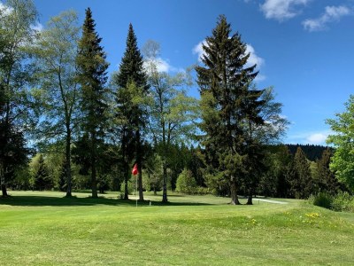 Apartment Apartment mit Balkon in Waldnהhe - Environment photo 19