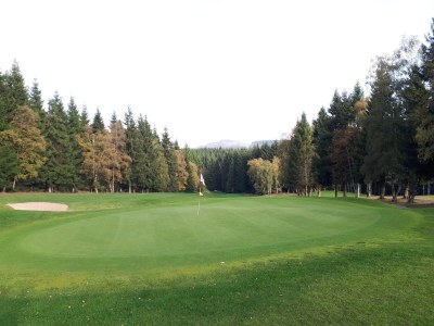 Apartment Apartment mit Balkon in Waldnהhe - Environment photo 34