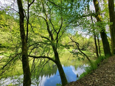 Apartment Apartment mit Balkon nahe am Erlebnisberg Kappe - Environment photo 38
