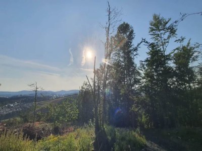 Apartment Studio mit Terrasse in Winterberg - Environment photo 14