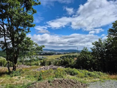 Apartment Studio mit Terrasse in Winterberg - Environment photo 21