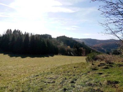 Apartment Studio mit Terrasse in Winterberg - Environment photo 27