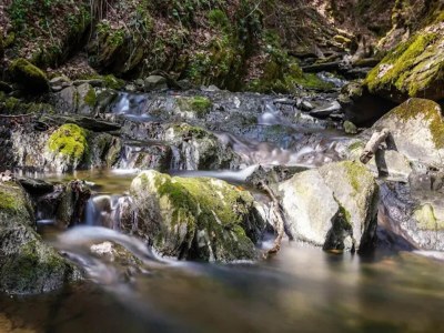 Apartment Studio mit Terrasse in Winterberg - Environment photo 28