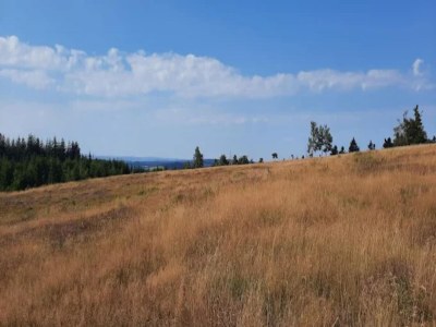 Apartment Studio mit Terrasse in Winterberg - Environment photo 34