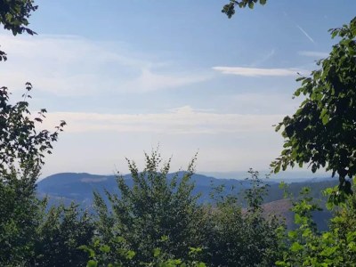 Apartment Studio mit Terrasse in Winterberg - Environment photo 36