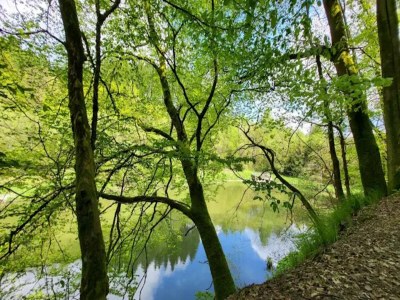 Apartment Studio mit Terrasse in Winterberg - Environment photo 38