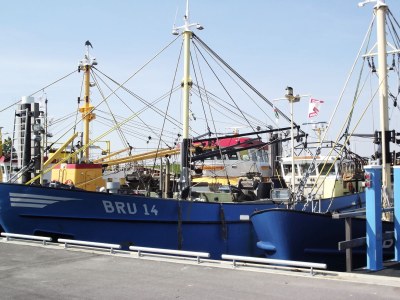 Holiday house Bausch 3 - Environment photo 15