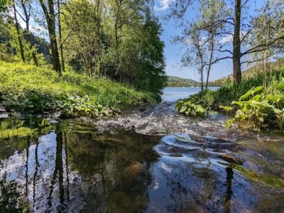 Apartment Ruhig gelegenes Appartement in Niedersfeld - Environment photo 15
