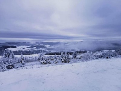 Apartment Ruhig gelegenes Appartement in Niedersfeld - Environment photo 17