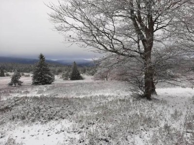 Apartment Ruhig gelegenes Appartement in Niedersfeld - Environment photo 24