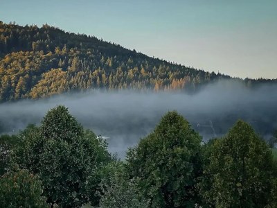 Apartment Ruhig gelegenes Appartement in Niedersfeld - Environment photo 25