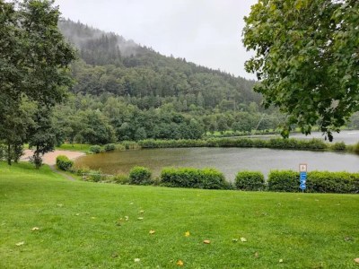 Apartment Ruhig gelegenes Appartement in Niedersfeld - Environment photo 26