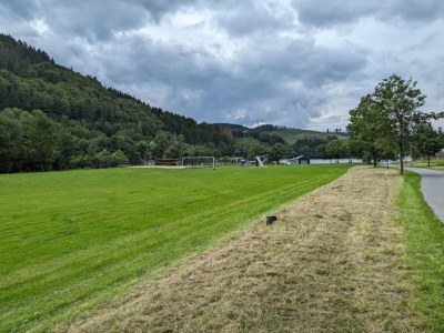Apartment Ruhig gelegenes Appartement in Niedersfeld - Environment photo 28