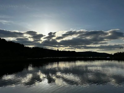 Apartment Ruhig gelegenes Appartement in Niedersfeld - Environment photo 30